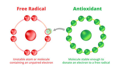 Acai Antioxidants: Discover Superfood Health Benefits